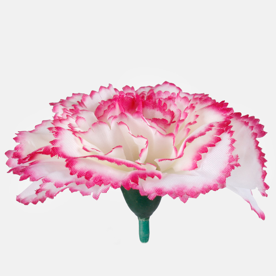 Goździk, Cream/Dk. Pink Edge W680-06