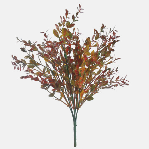 Boxwood x 7 A605