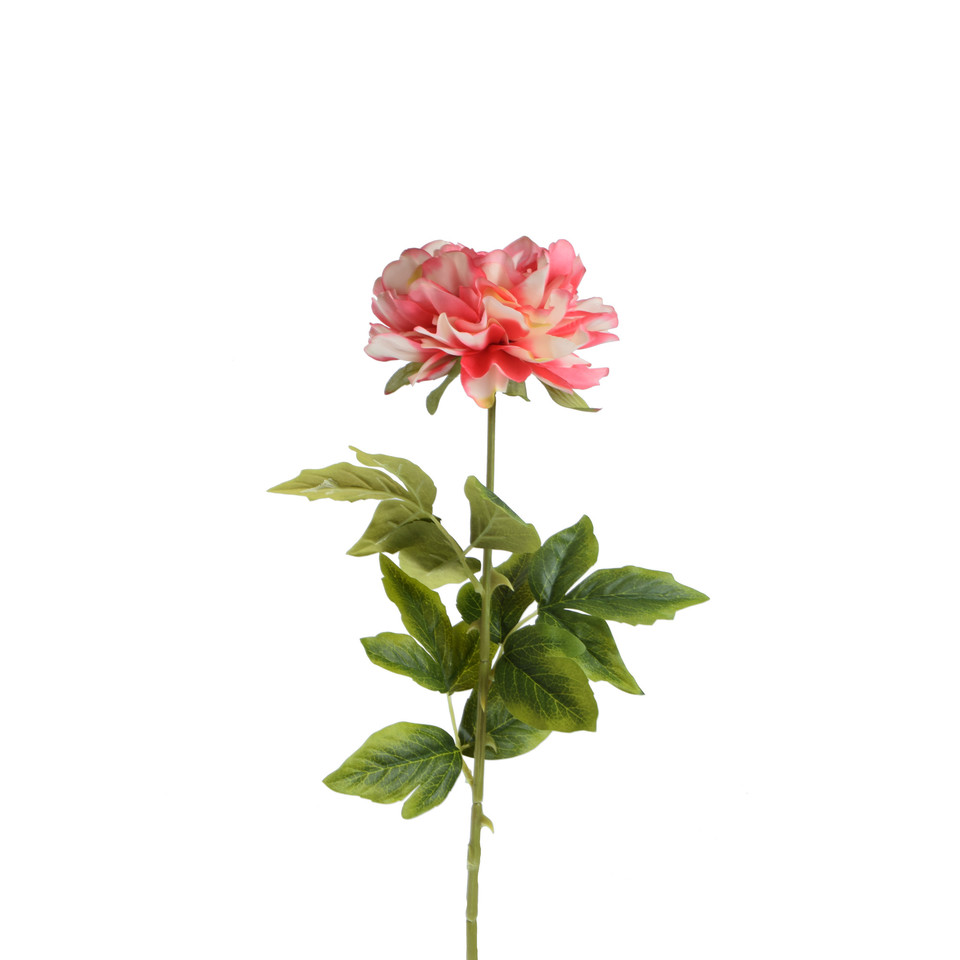 Peonia - gałązka 68 cm, m K415-m