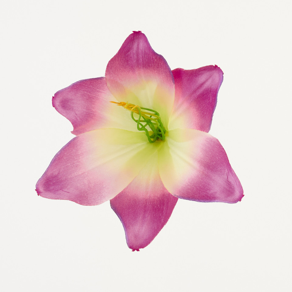 Lilia – główka satyna, fuchsia/yellow B276-016