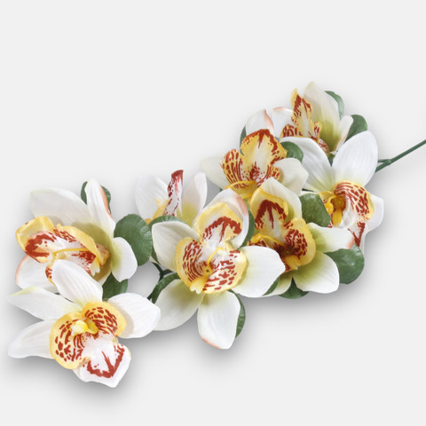 Orchid, Cream/Lt. Green G262-39