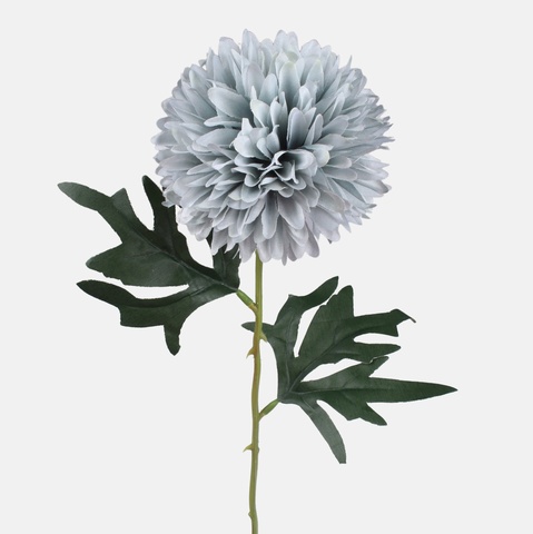 Chrysanthemum, Mix 1 G470-01
