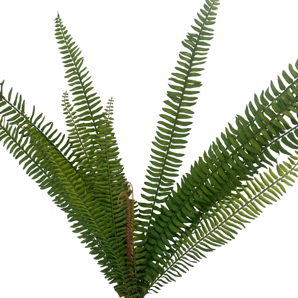 Paproć - bukiet 92 cm, green B273-00
