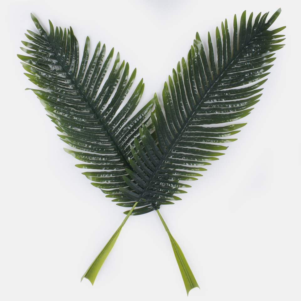Palm leaf, Green F119