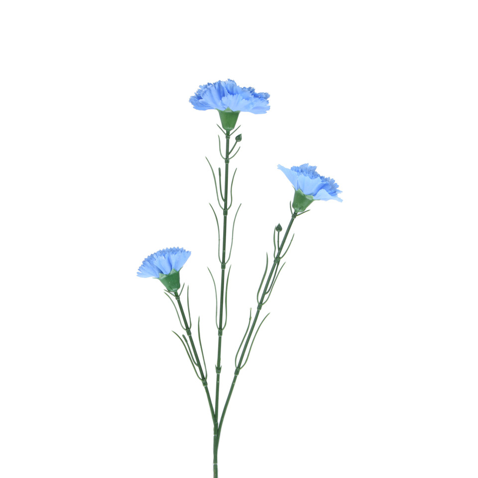 Goździk - gałązka 60 cm, m2 GK149-m2