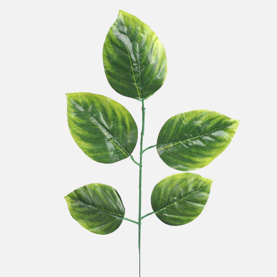 Linden, Green/Lt. Green Edge F213-01