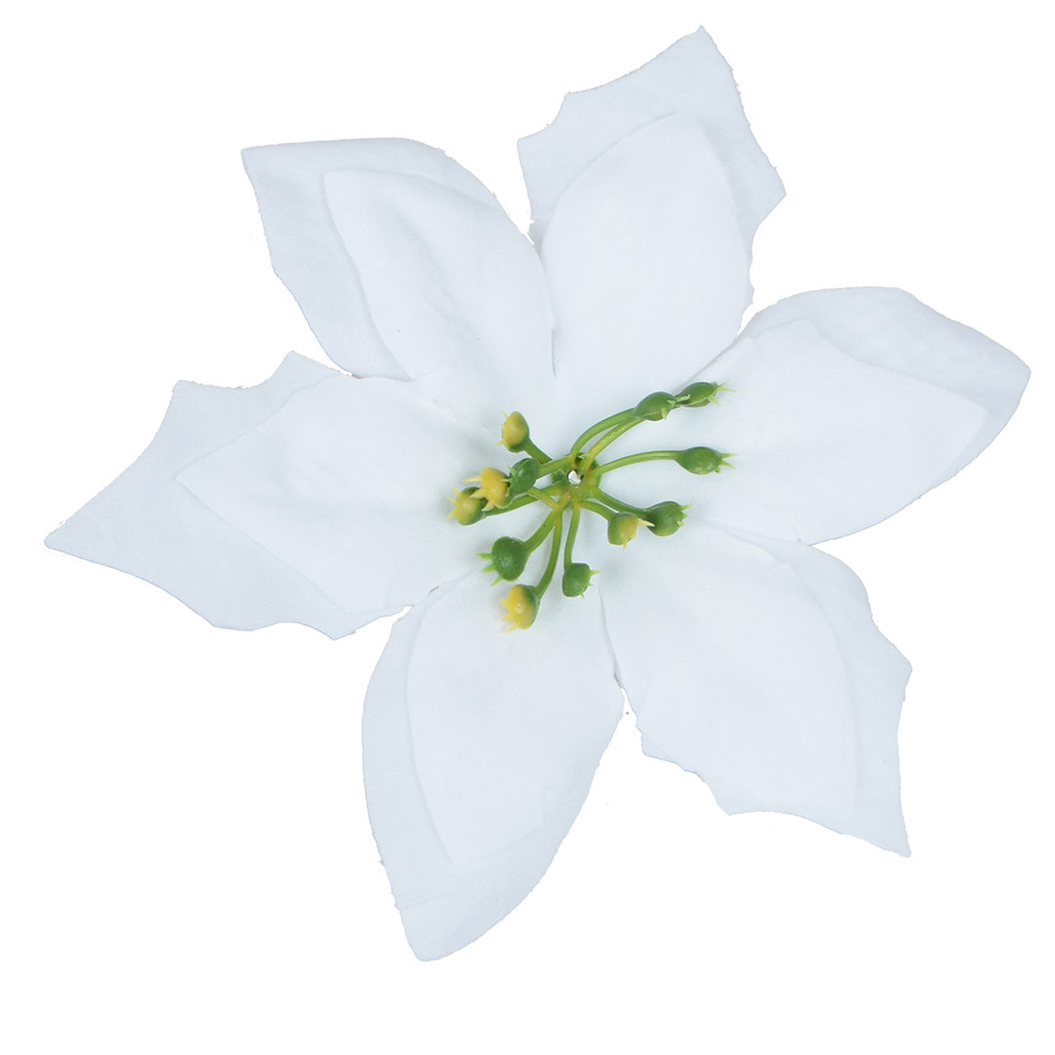 Poinsecja x 6 szt., White W435X-02