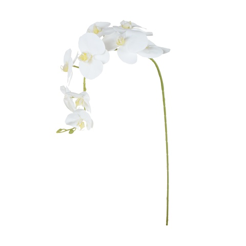 Storczyk - gałązka gumowana 102 cm, pure white GK560-26
