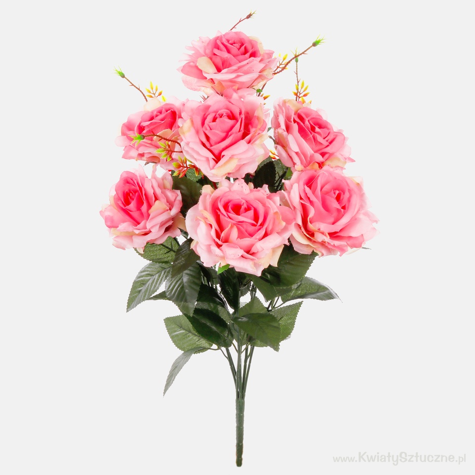 Róża x 7, T.T. Pink QA082-04