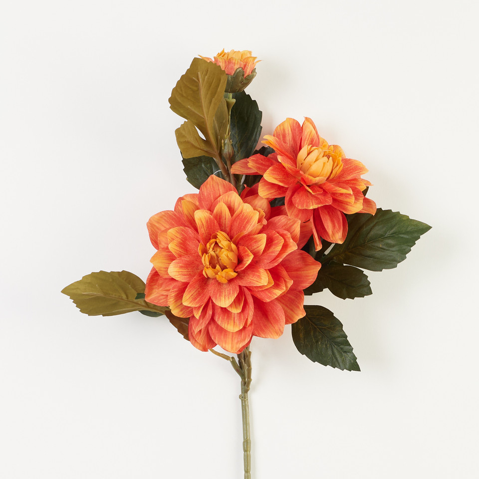 Dalia – gałązka, 5 B31-65
