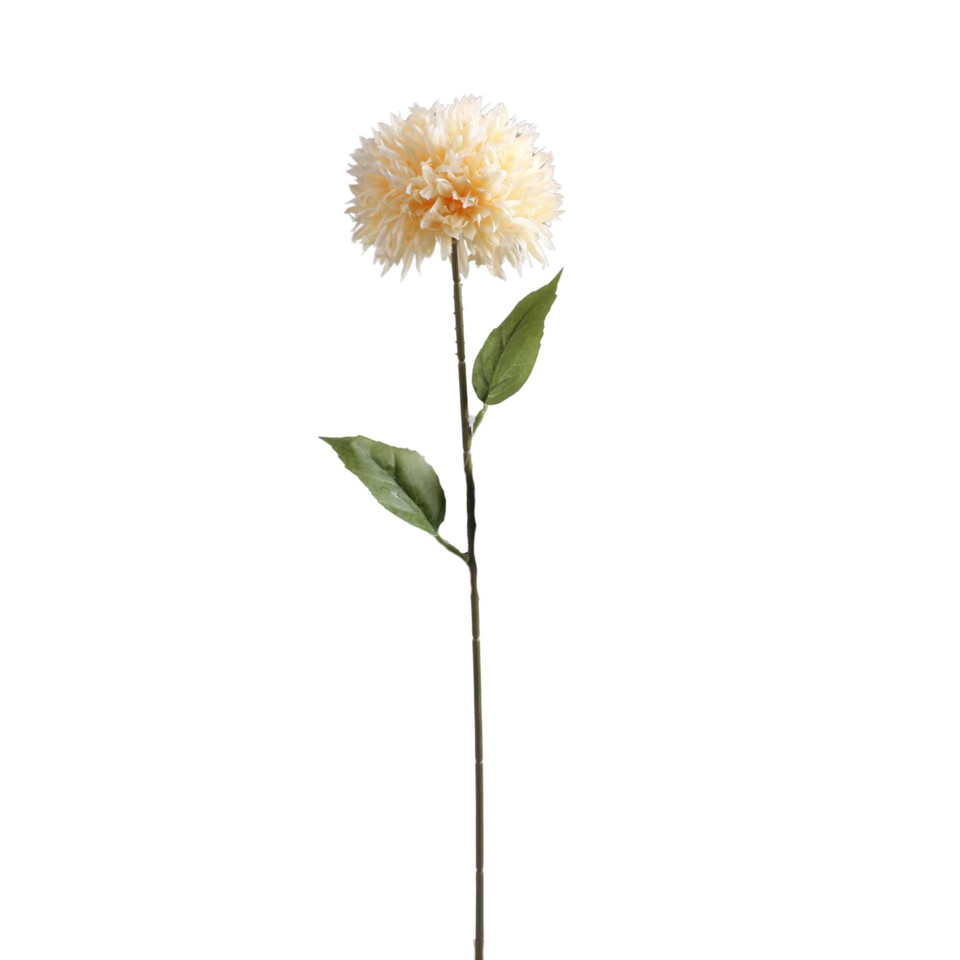 Czosnek - gałązka 53 cm, vanilla K612-09