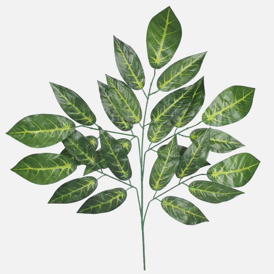 Mango, Green F190-01
