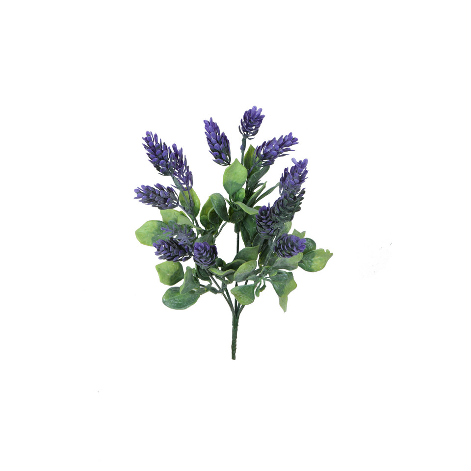 Chmiel - bukiet 30 cm, m R575-m