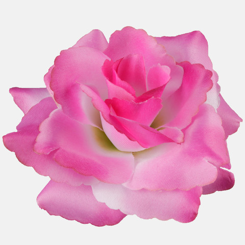 Rose, Dk. Pink W529-05