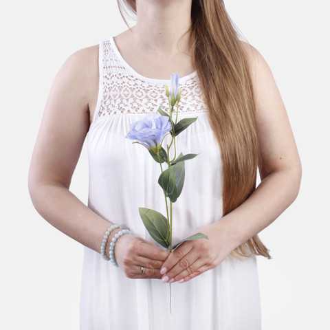 Lisianthus G426 (Product size)