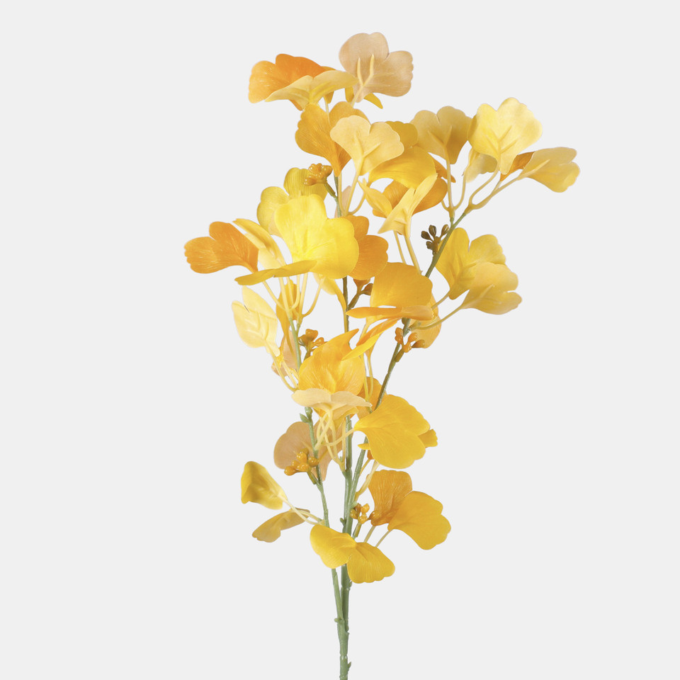 Miłorząb, Yellow/Orange F115-02