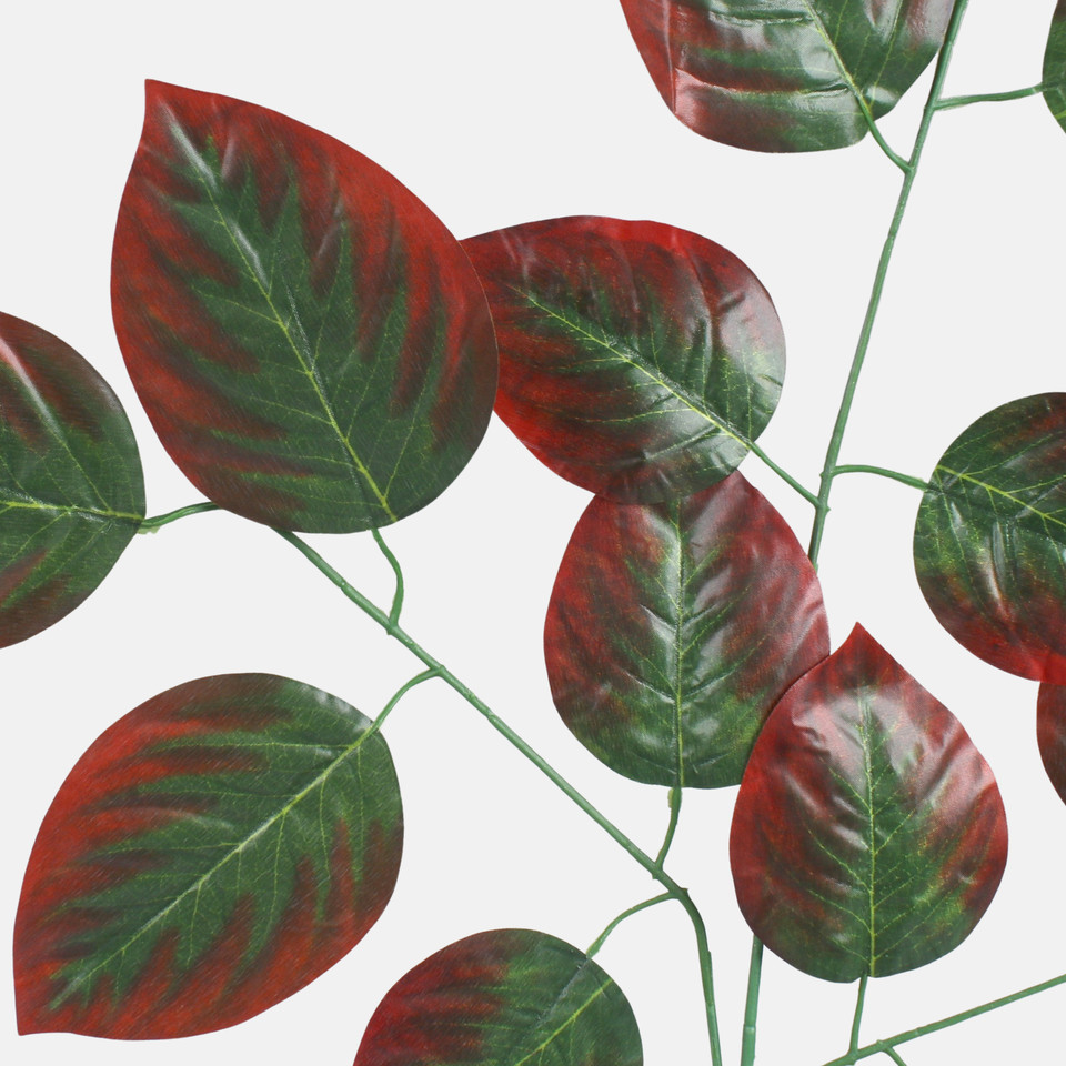 Beech, Green/Brown F231-01