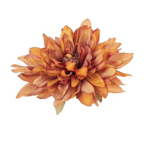 Dahlia, 07 autumn brown B145-07