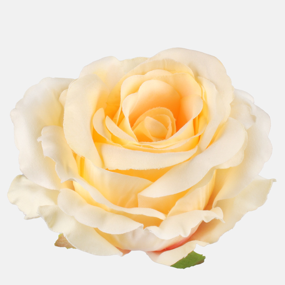 Rose, Lt. Yellow W697-23