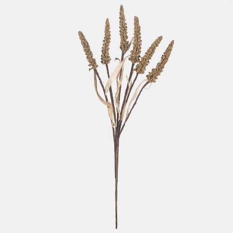 Setaria, Autumn Beige A769-02