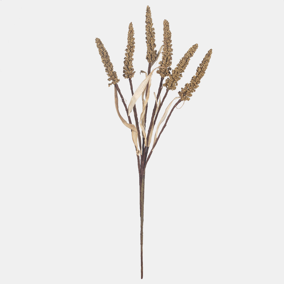 Setaria, Autumn Beige A769-02