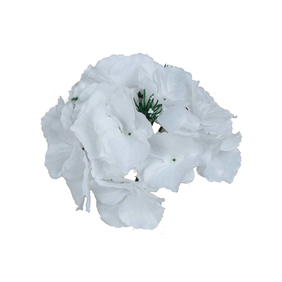 Hortensja, Pure White W152-01