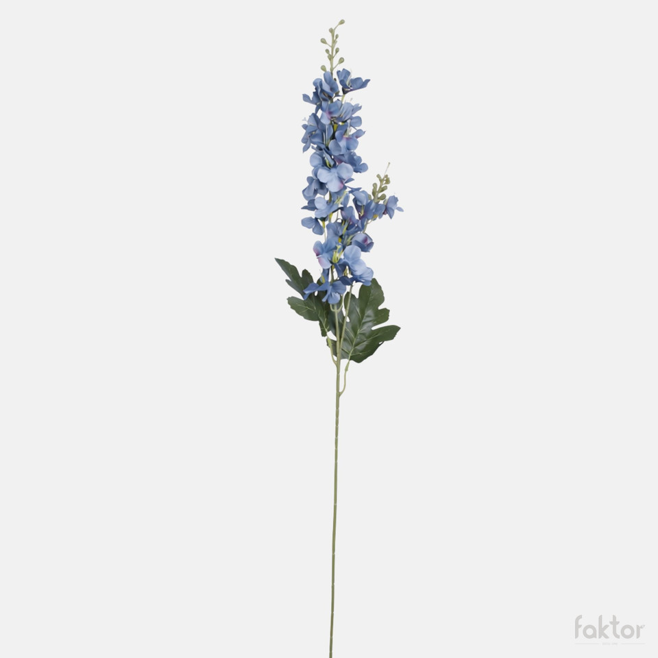 Delphinium, Mix BK244-01