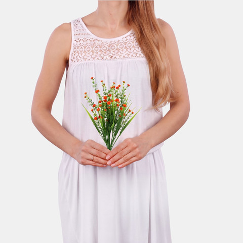 Gypsophila BR677 (Product size)