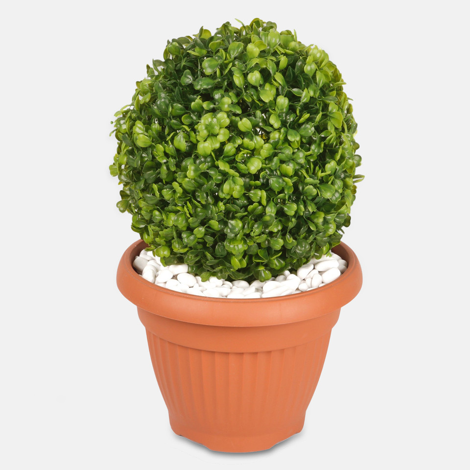 Bukszpan kula 23 cm, Green Z079