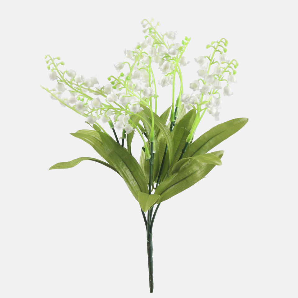 Konwalia, White Q961-01