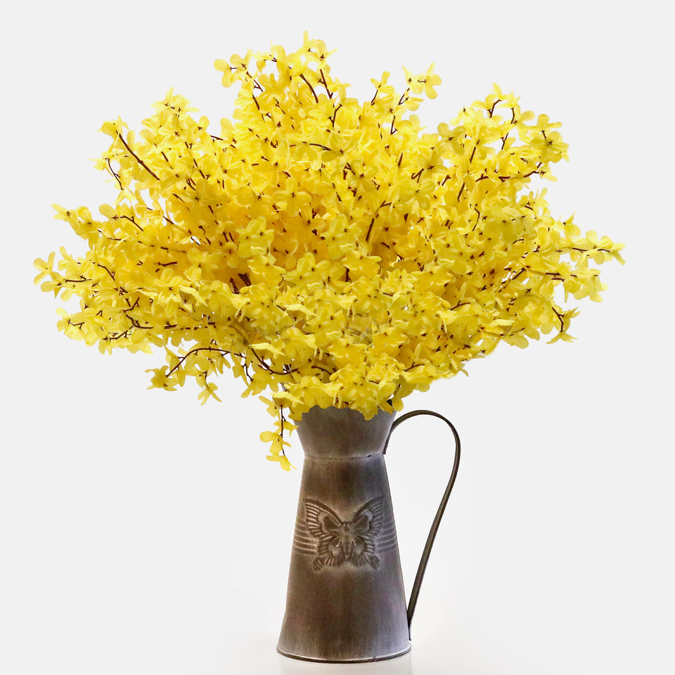 Forsycja, Yellow G234-01