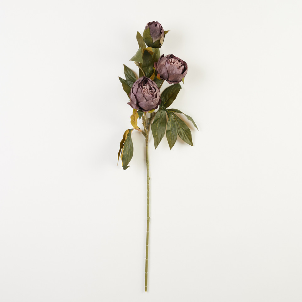 Peonia – gałązka x3, 20 B38-20
