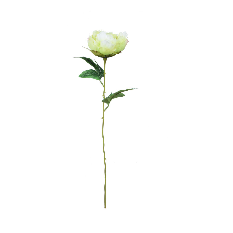 Peonia - gałązka 57 cm, m K417-m