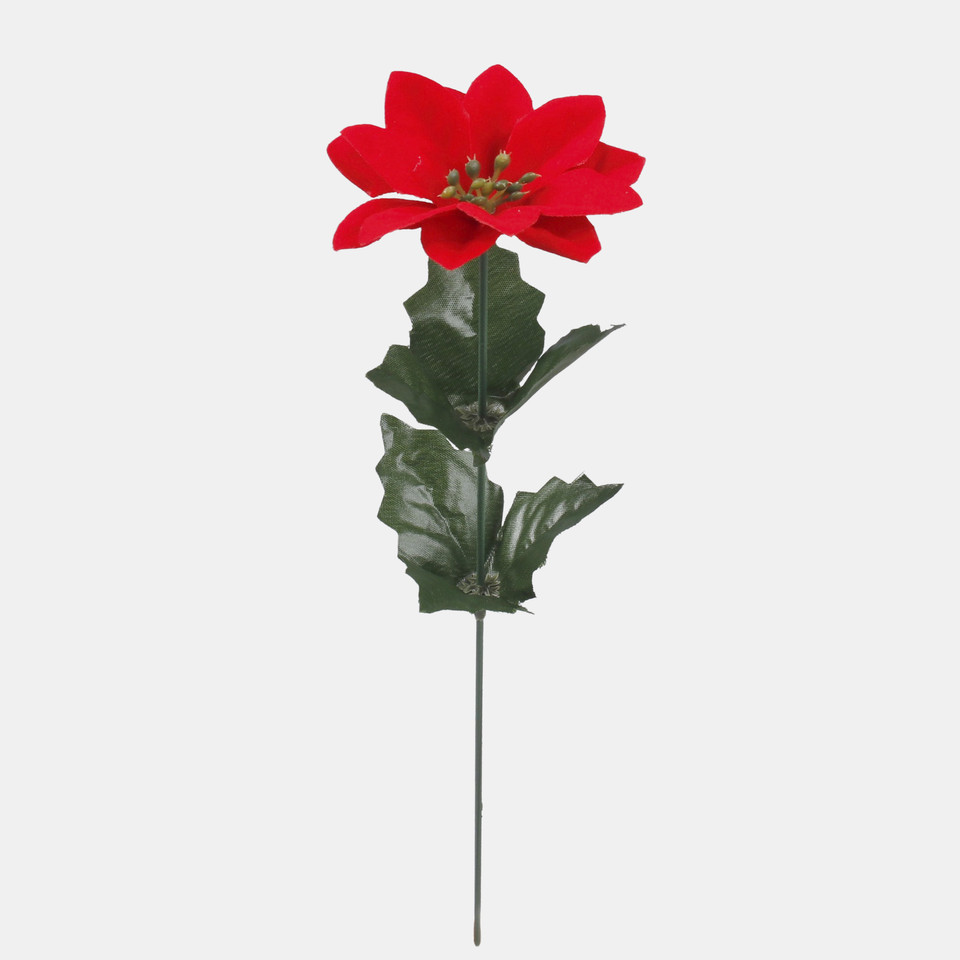 Poinsettia, Red G458S-01