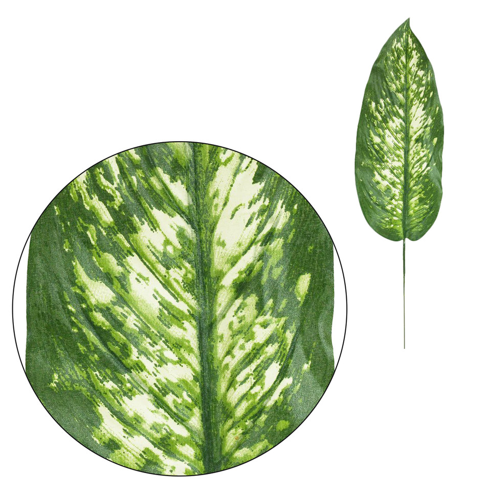 Difenbachia - liść 52 cm, green L910-00