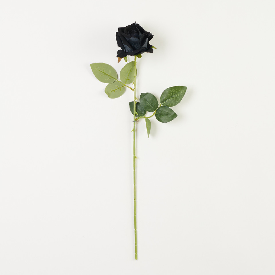 Róża welur – gałązka, black B65-06