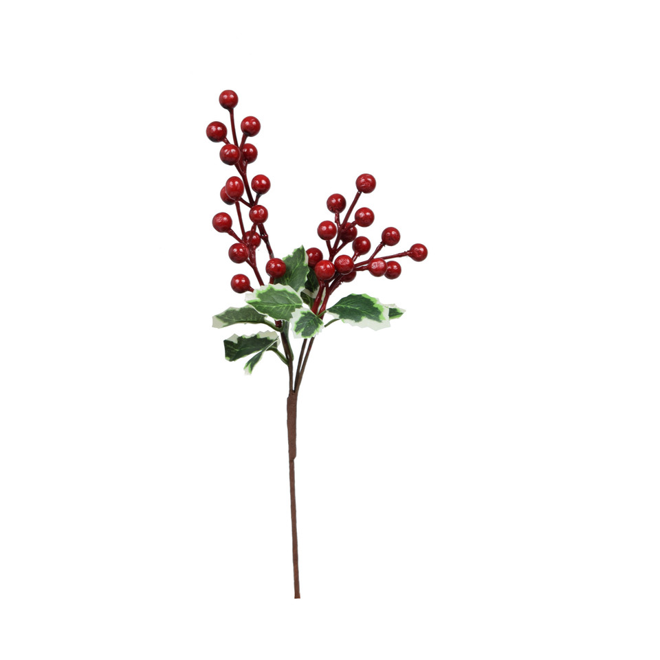 Ostrokrzew, Green/Red XP455-00