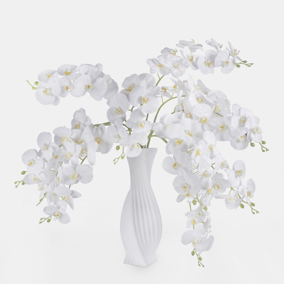 Orchid, Pure White L495L-01