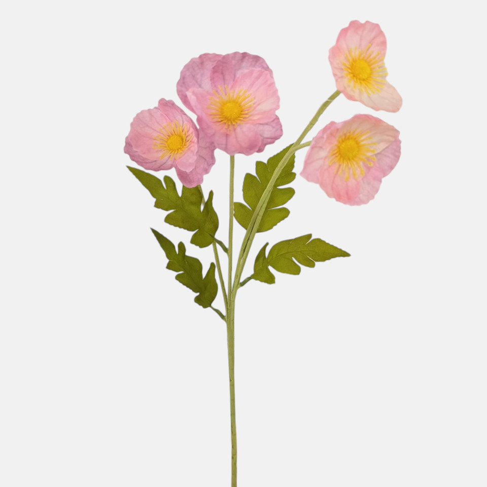 Anemon x 4, Pink G508-04