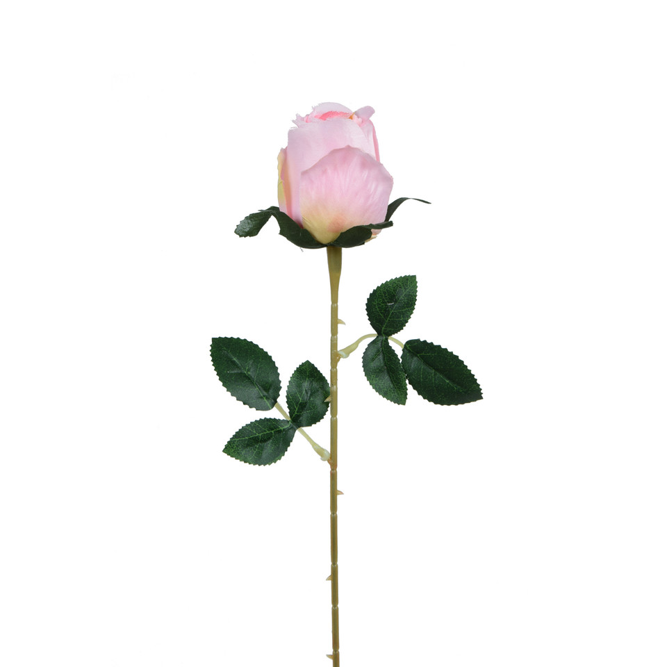 Róża - gałązka - 53 cm, m2 K404-m2