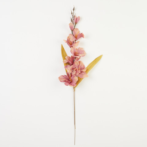 Mieczyk, Peach/Lt. Mauve B184-55