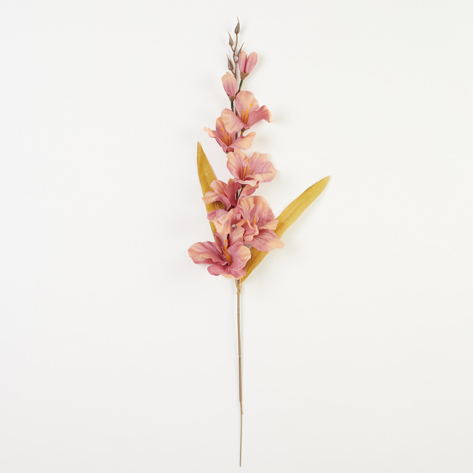 Mieczyk, Peach/Lt. Mauve B184-55