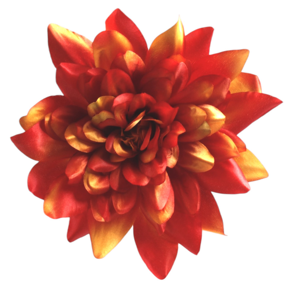 Dalia, Orange W170-50