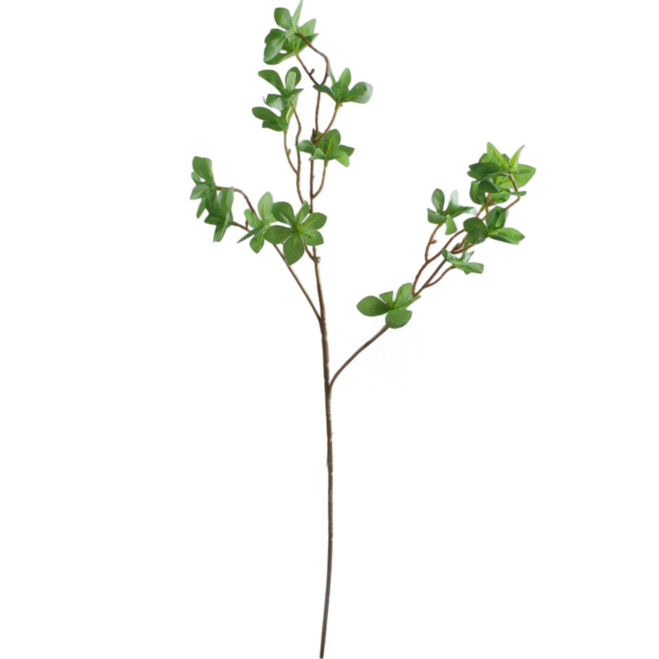 Enkiant, Green RL013-00