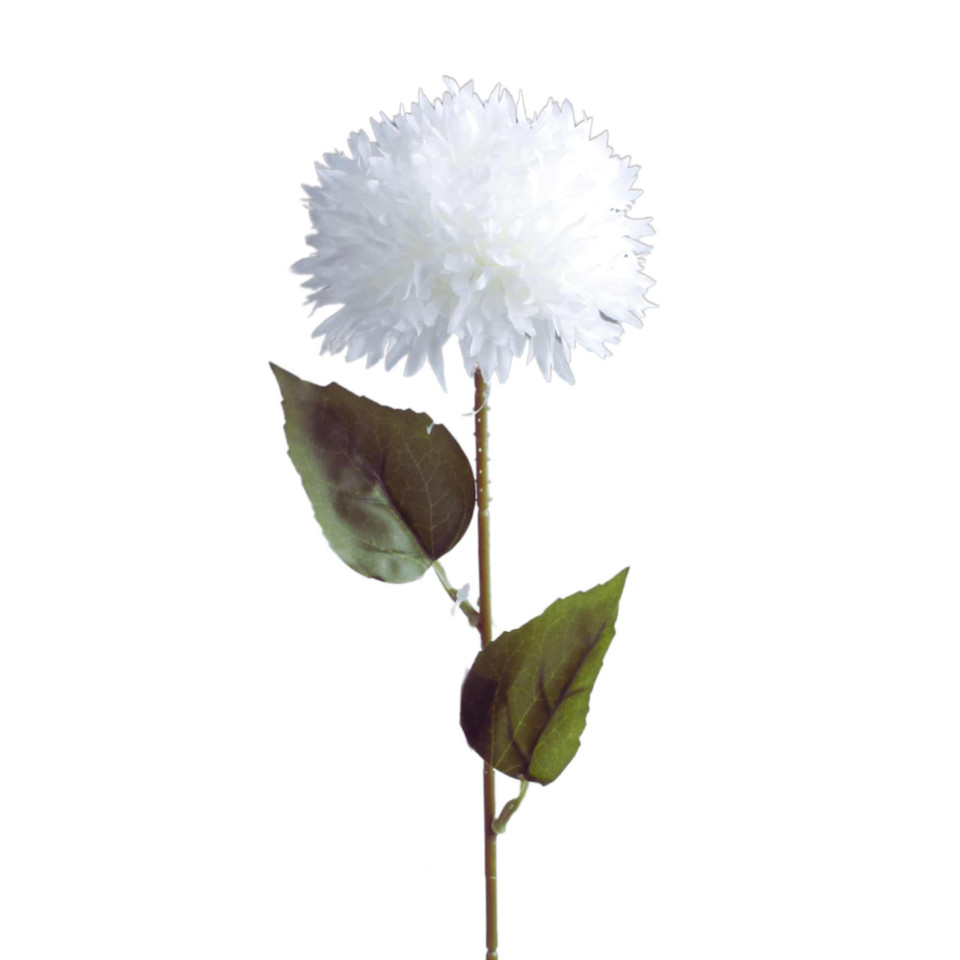 Czosnek - gałązka 53 cm, white K612-03