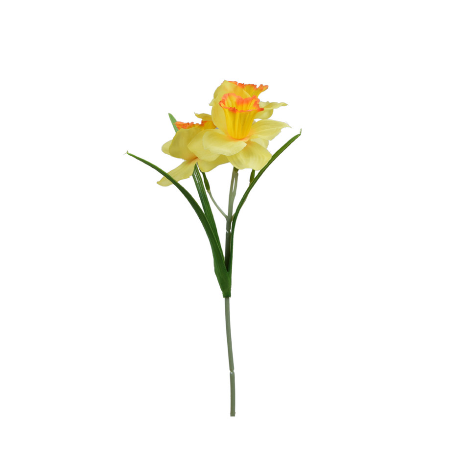 Żonkil - pik 35 cm, Mix DK074E-m
