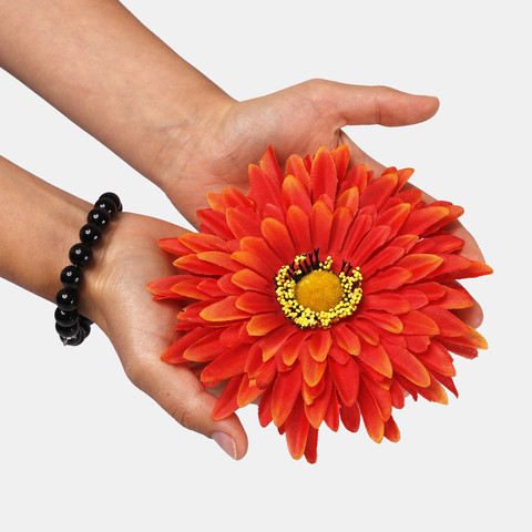 Gerbera W539 (Product size)