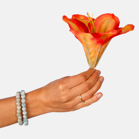 Satin amaryllis W685 (Product size)