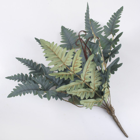 Fern bush Z180