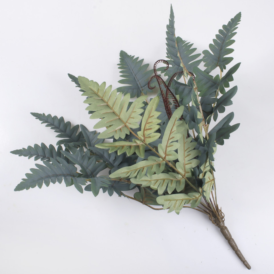 Fern bush, Mix 1 Z180-01